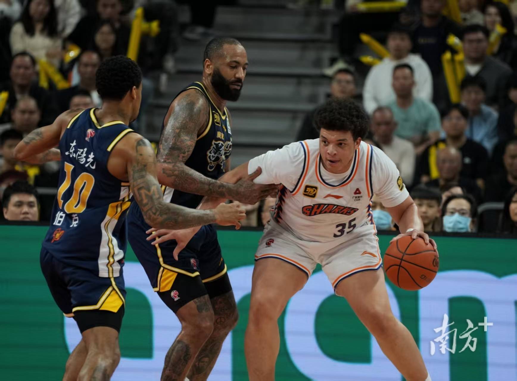 布莱顿训练开放日,国际比赛日绝杀压哨引欢呼,CBA季后赛在即,数据趋势出现新变化的简单介绍雷竞技官网